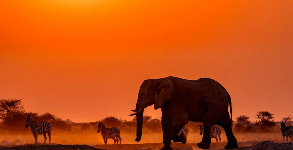 Достопримечательности Ботсваны Достопримечательности Ботсваны