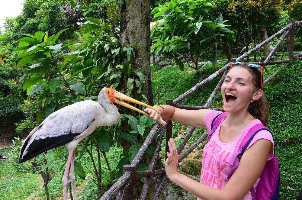 Малайзия (с островом Борнео) (7/50)