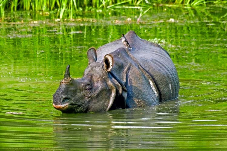 Непал: Лестница в небеса