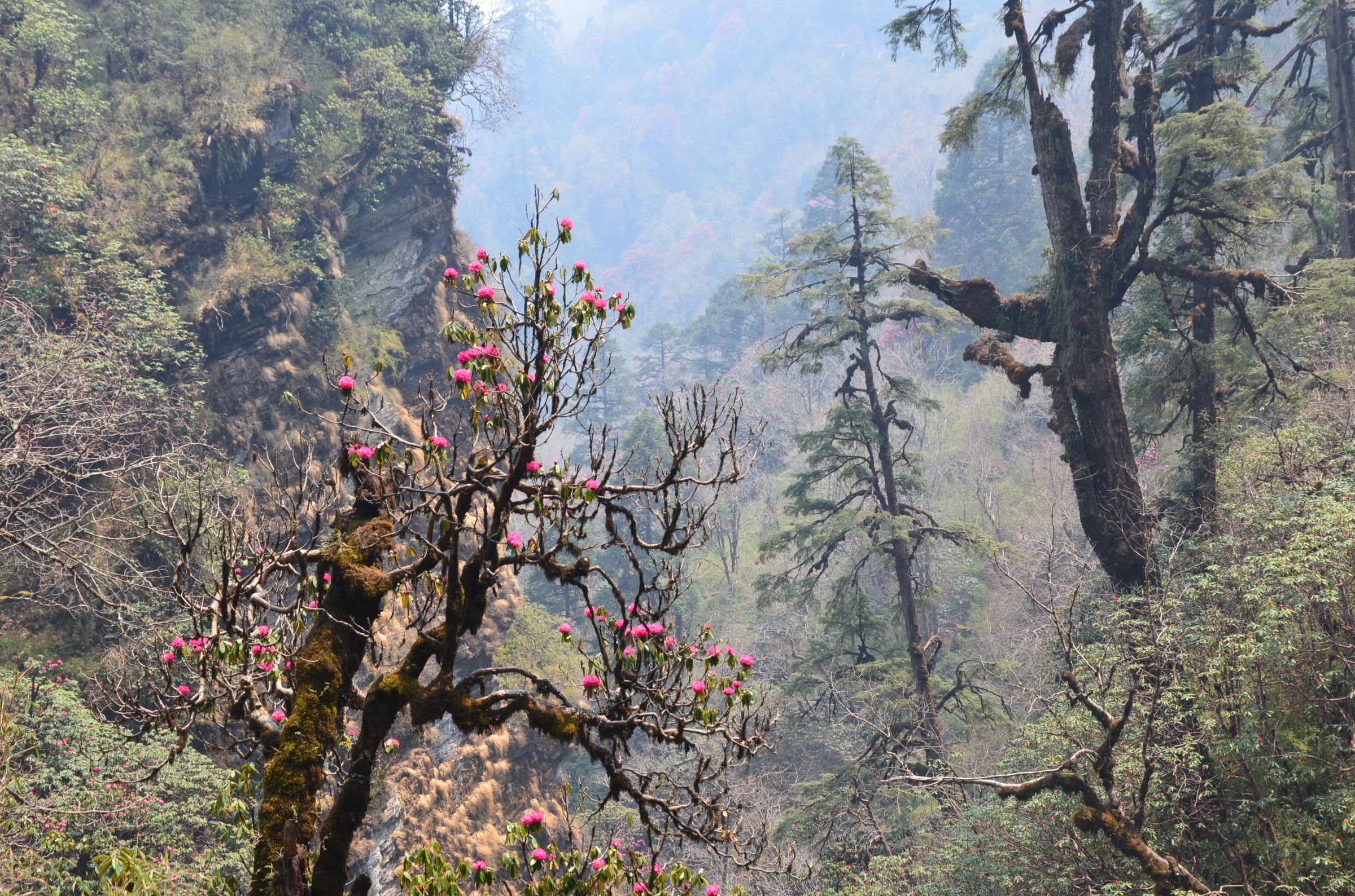 Непал. Лестница в небеса (10/34)
