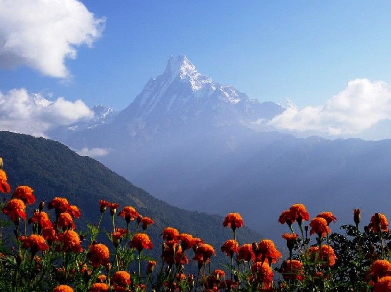 Непал. Лестница в небеса (5/34)