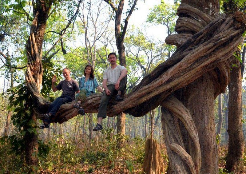 Непал. Лестница в небеса (8/34)