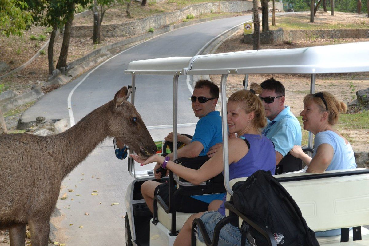 Экспедиция 5 стран Юго-Восточной Азии! (4/118)