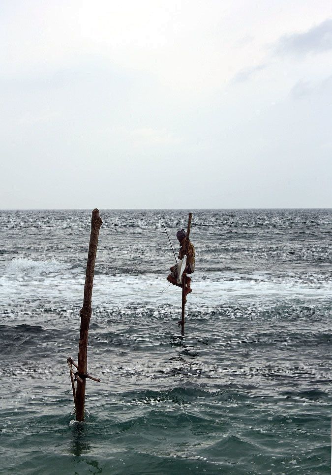 Золотое кольцо Шри-Ланки (5/52)