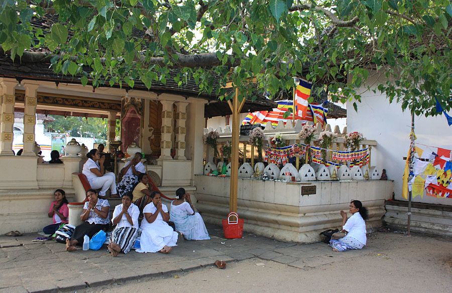 Золотое кольцо Шри-Ланки (10/52)