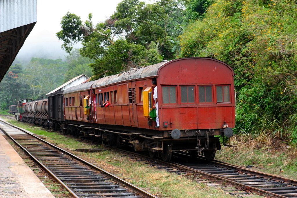 Золотое кольцо Шри-Ланки (9/52)