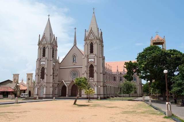 Золотое кольцо Шри-Ланки (8/52)