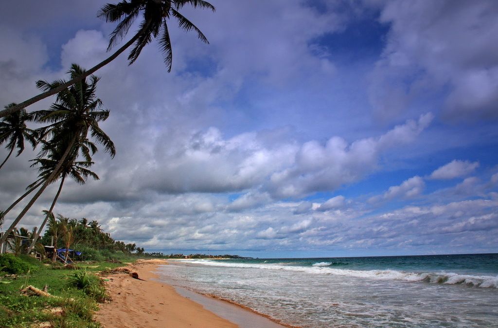 Золотое кольцо Шри-Ланки (6/52)