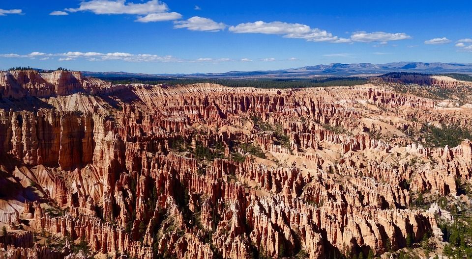 Американские приключения (5/17)