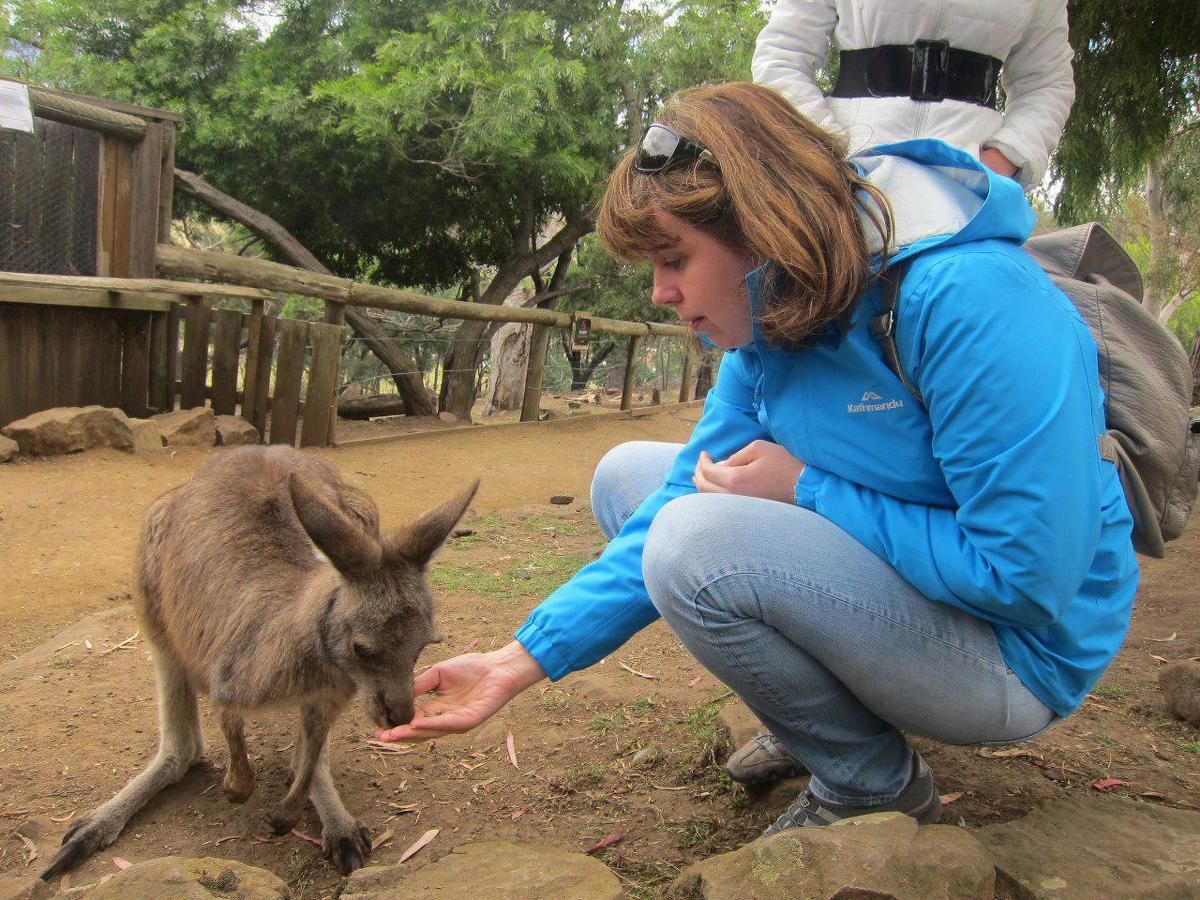 Путешествие на север Австралии (12/16)