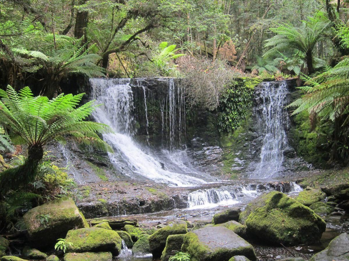 Путешествие на север Австралии (11/16)