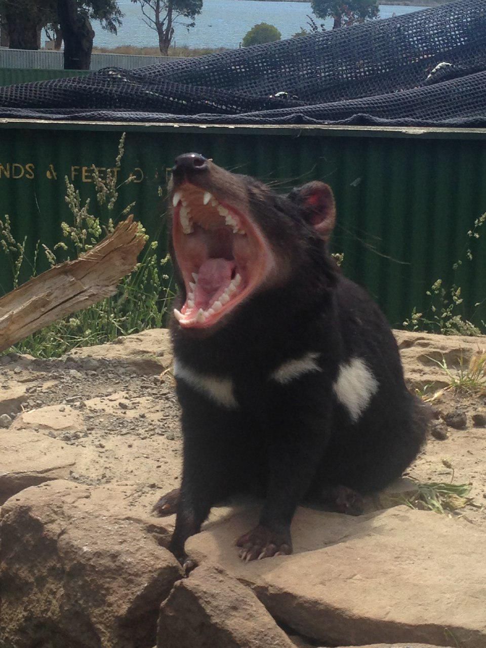 Путешествие на север Австралии (16/16)