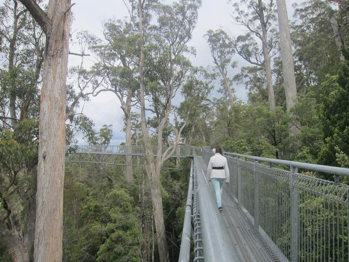 Путешествие на север Австралии (13/16)