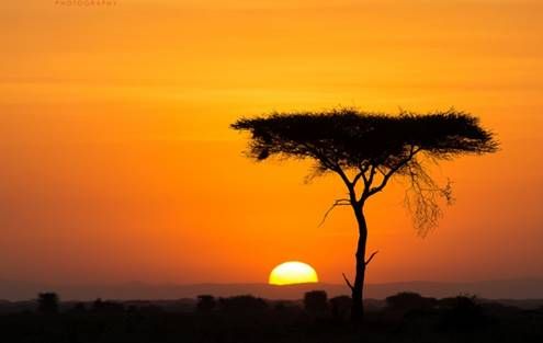 Юар: по дороге садов и сафари (1/16)