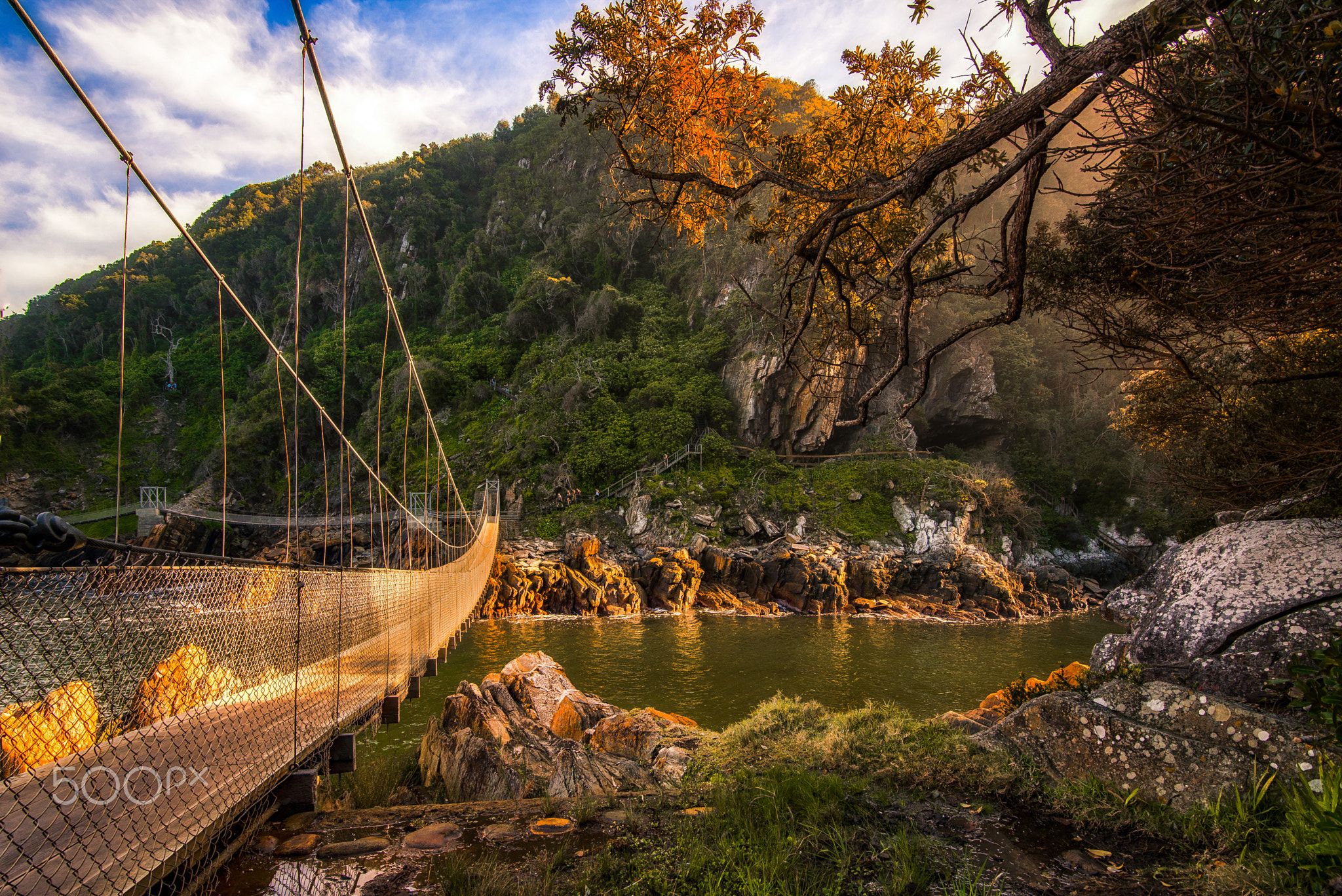 Юар: по дороге садов и сафари (5/16)