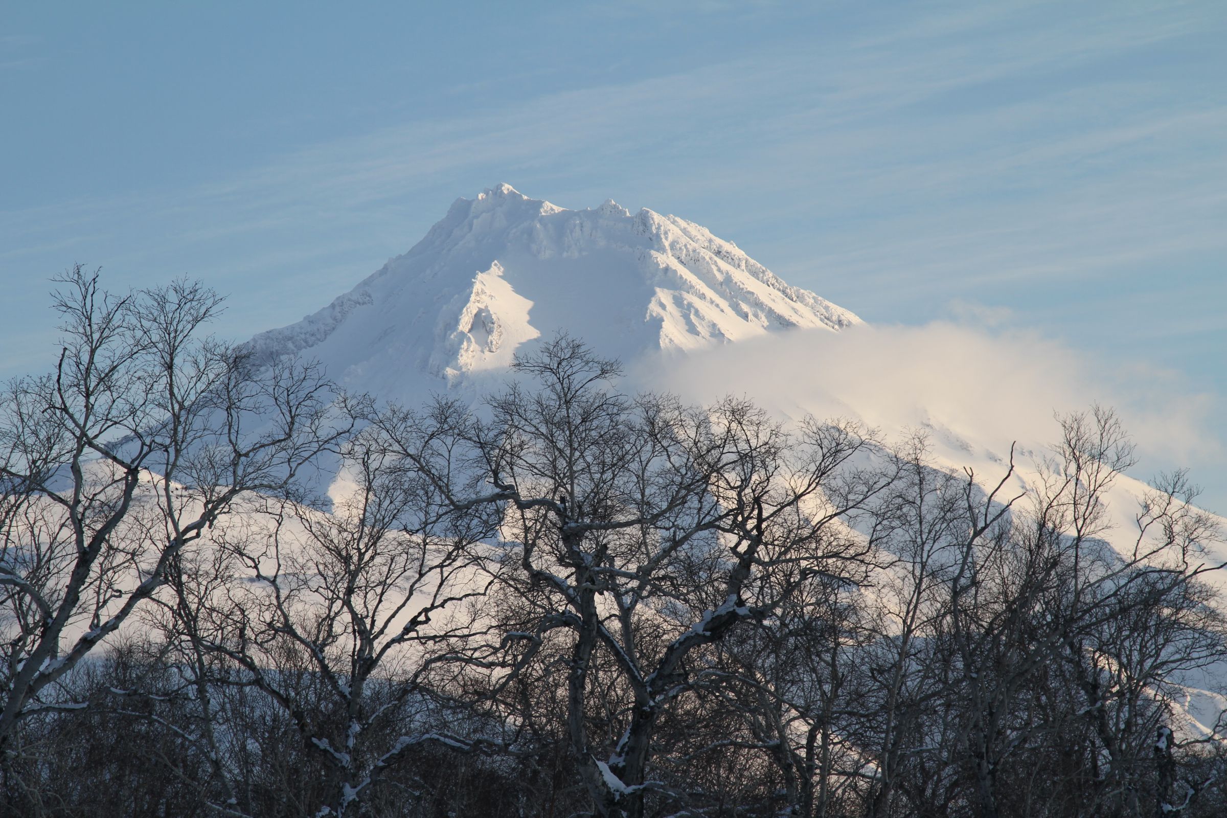 Весенняя прелесть Камчатки (14/28)