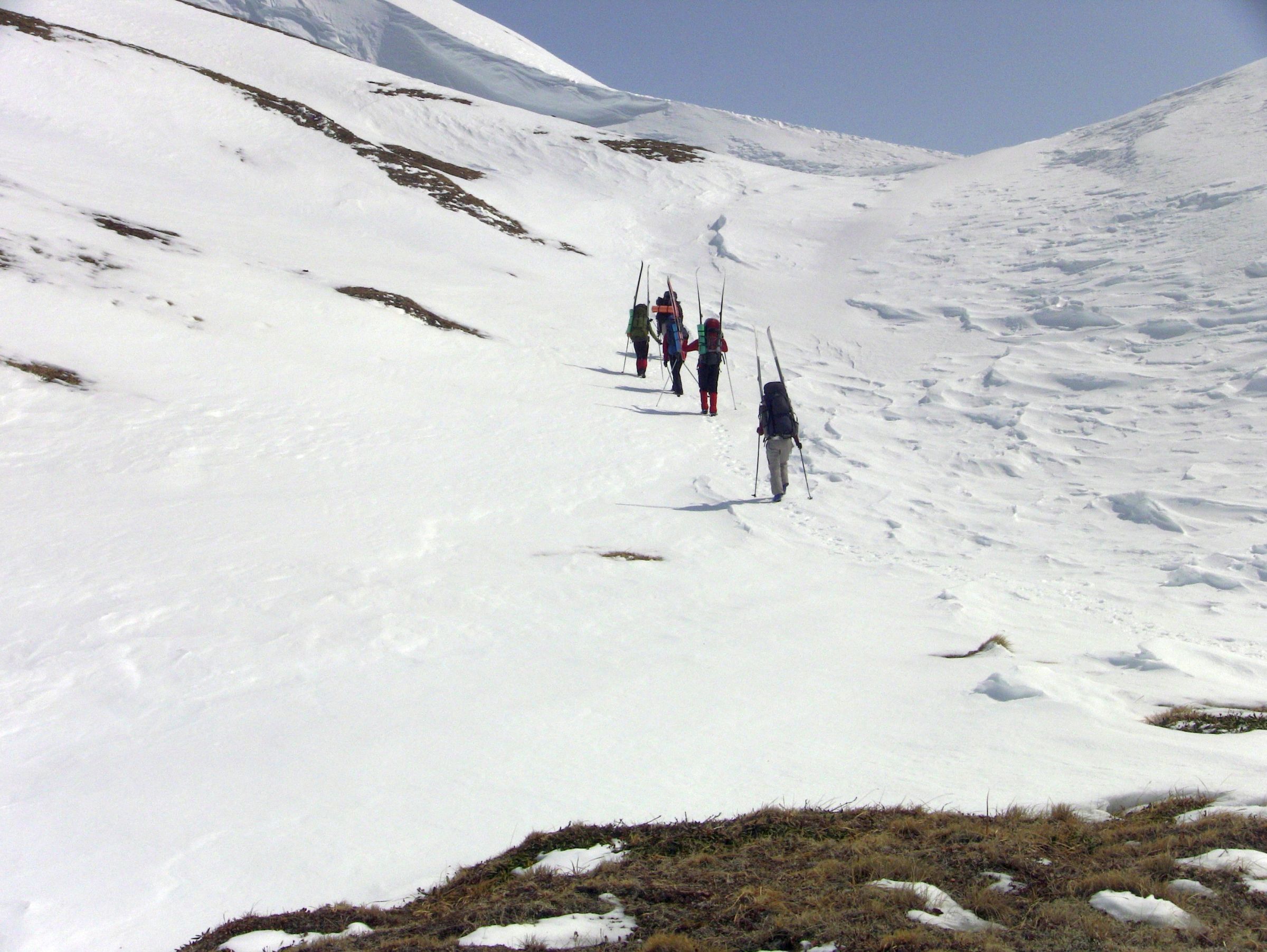 Весенняя прелесть Камчатки (13/28)