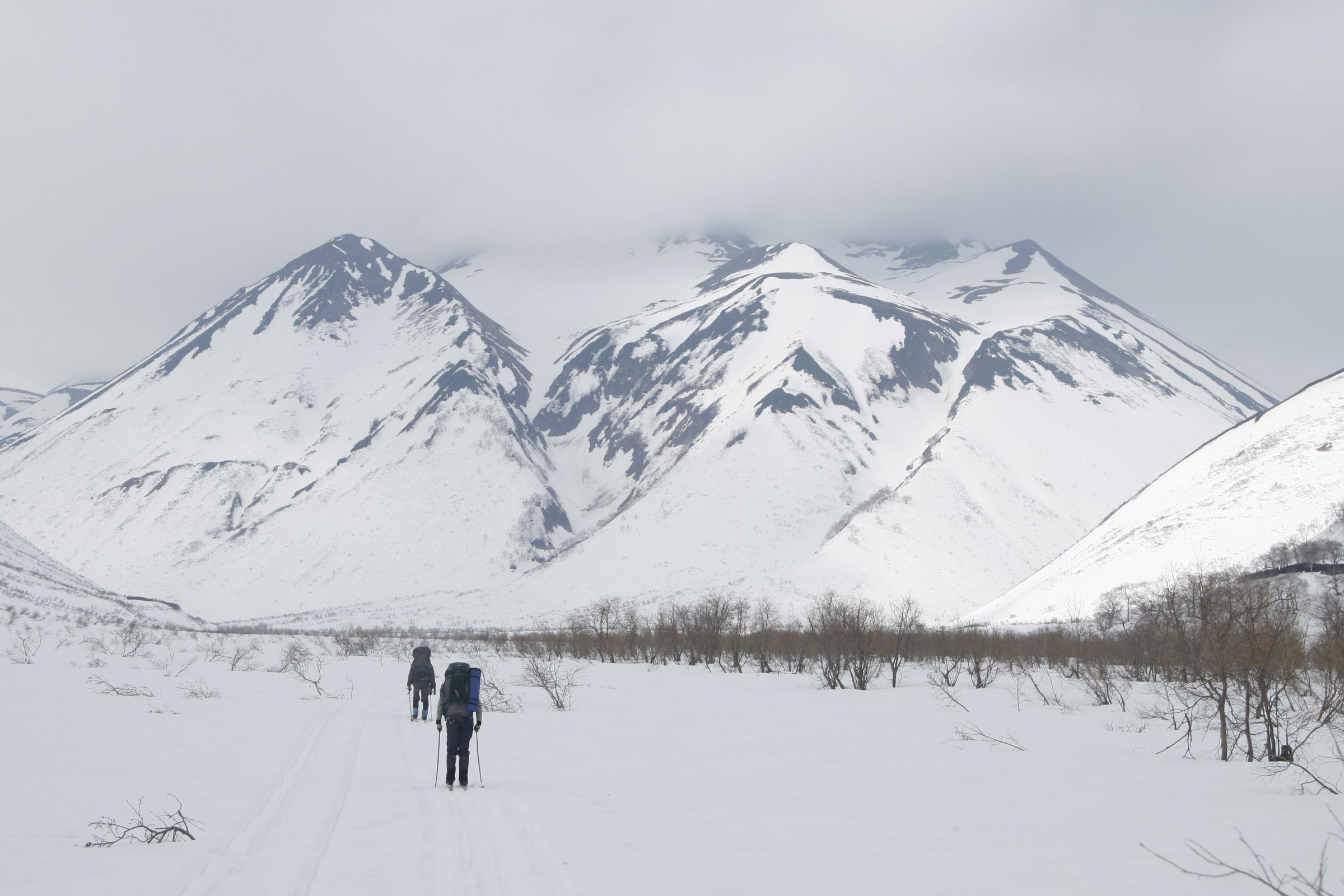 Весенняя прелесть Камчатки (3/28)