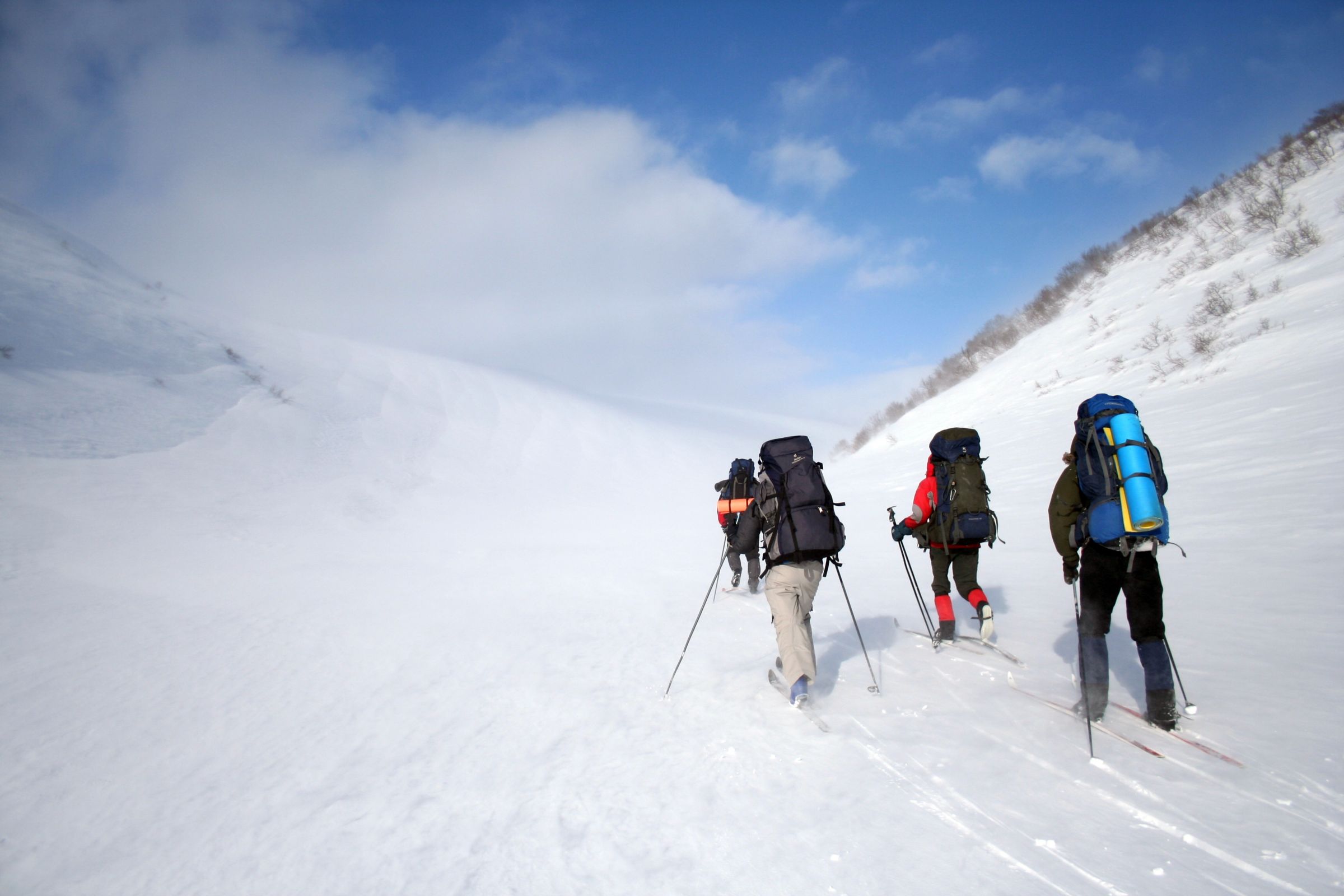 Весенняя прелесть Камчатки (19/28)