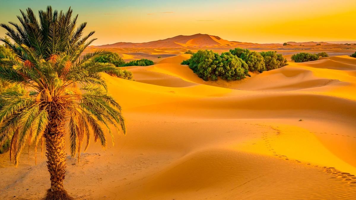 МАРОККО С КОМФОРТОМ (15/67)