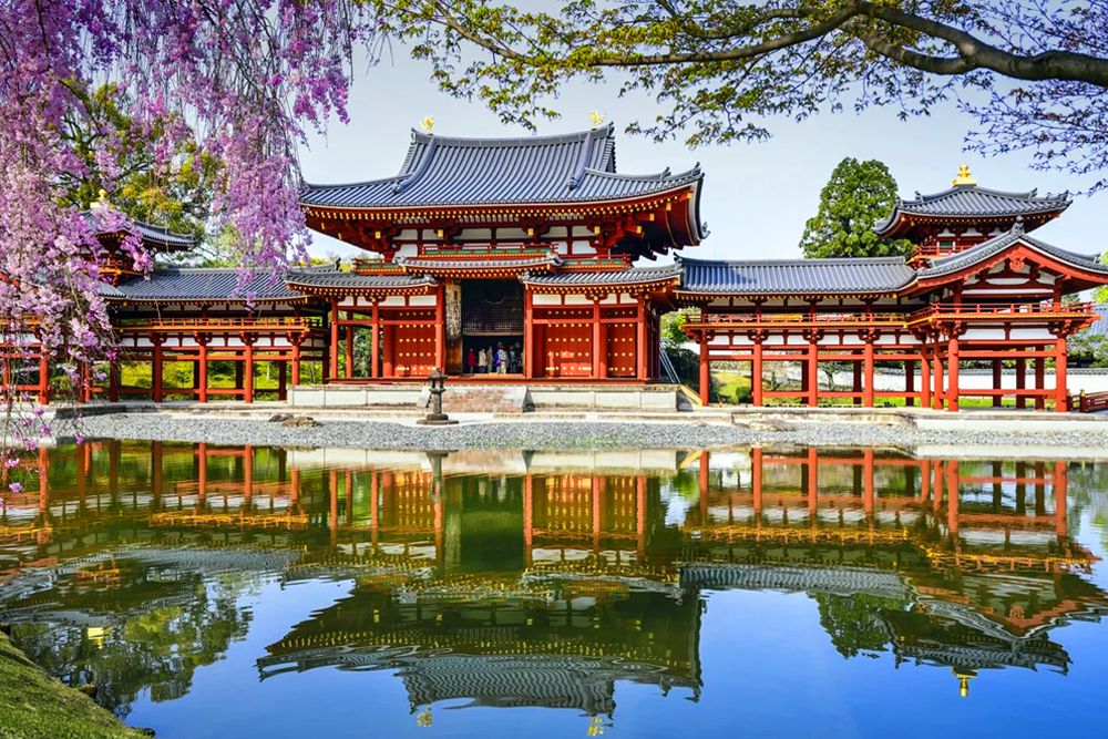 ЦВЕТЕНИЕ САКУРЫ (10/59)