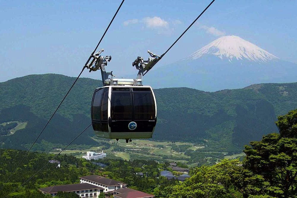 ЦВЕТЕНИЕ САКУРЫ (13/59)