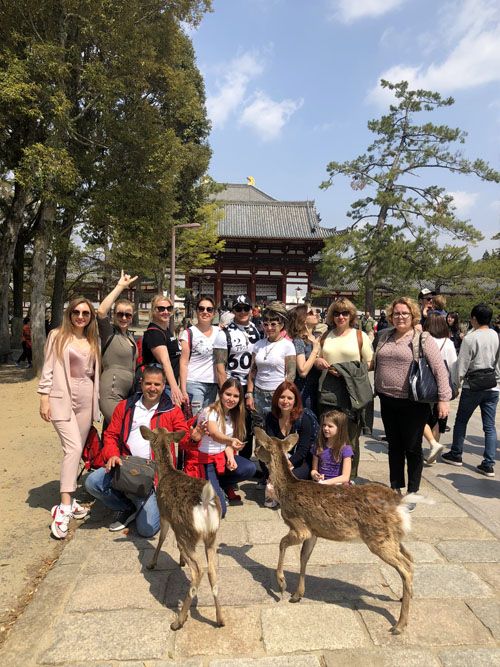 ЦВЕТЕНИЕ САКУРЫ (25/59)