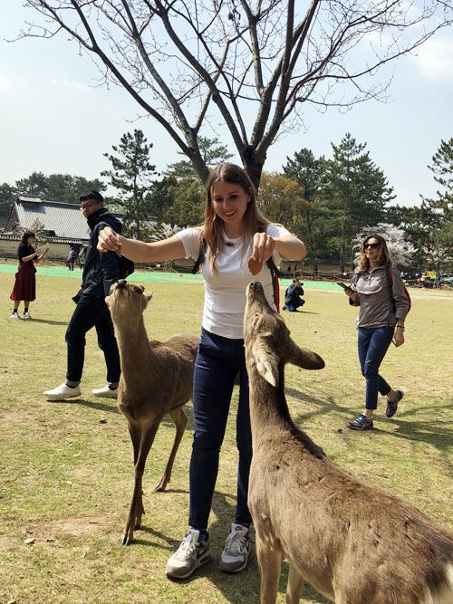 ЦВЕТЕНИЕ САКУРЫ (31/59)