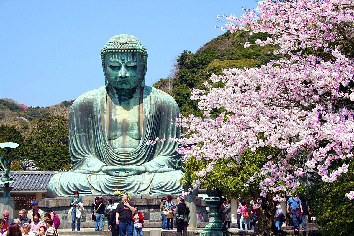 ЦВЕТЕНИЕ САКУРЫ (5/59)