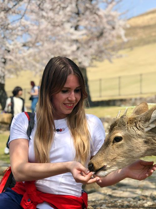 ЦВЕТЕНИЕ САКУРЫ (34/59)