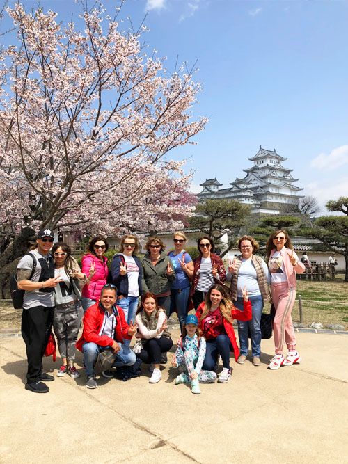 ЦВЕТЕНИЕ САКУРЫ (4/59)