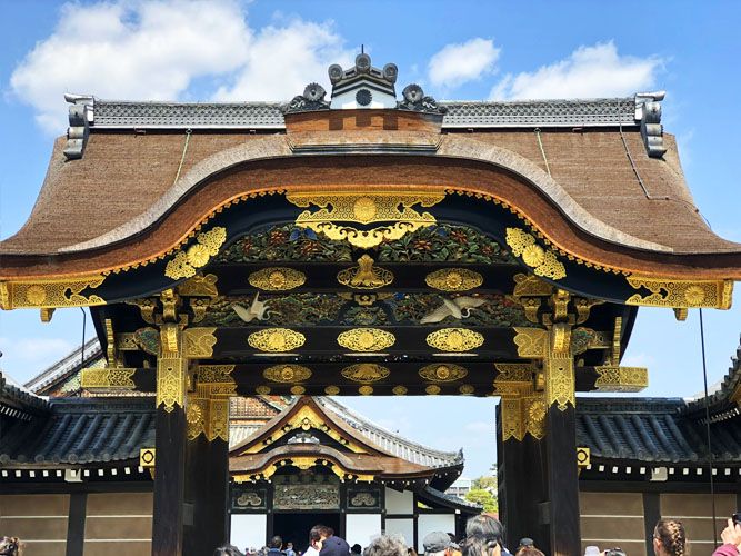 ЦВЕТЕНИЕ САКУРЫ (24/59)