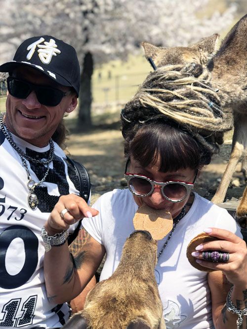 ЦВЕТЕНИЕ САКУРЫ (32/59)