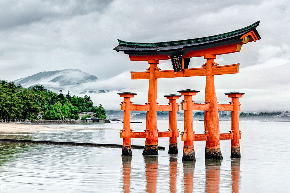 ЦВЕТЕНИЕ САКУРЫ (3/59)