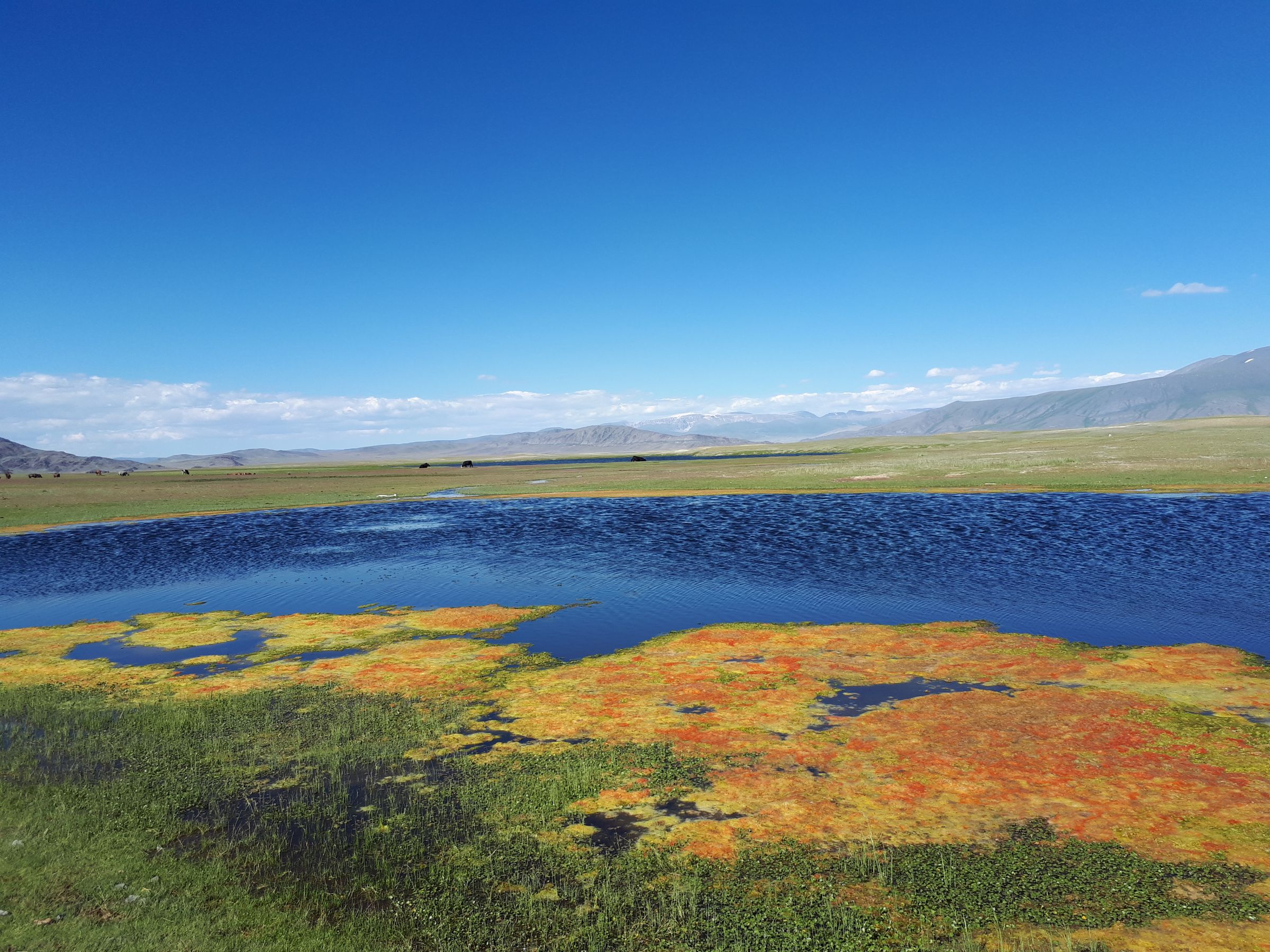 Рыбалка В Монголии (5/32)