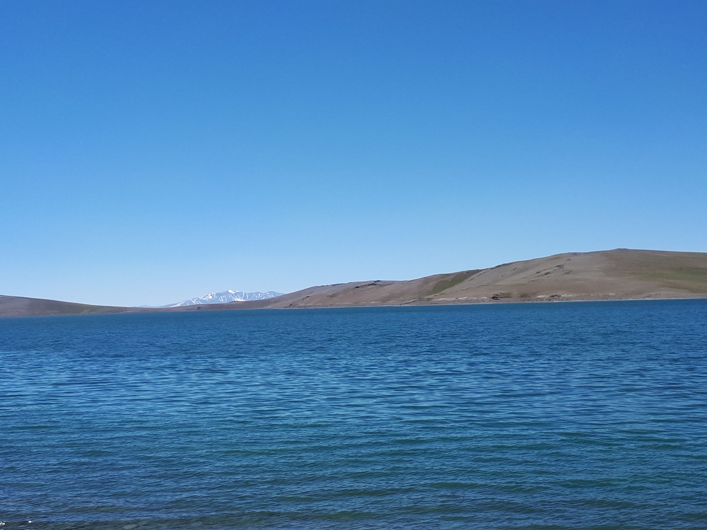 Рыбалка В Монголии (4/32)