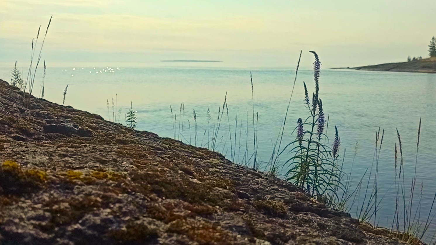 Ладога- острова (67/103)