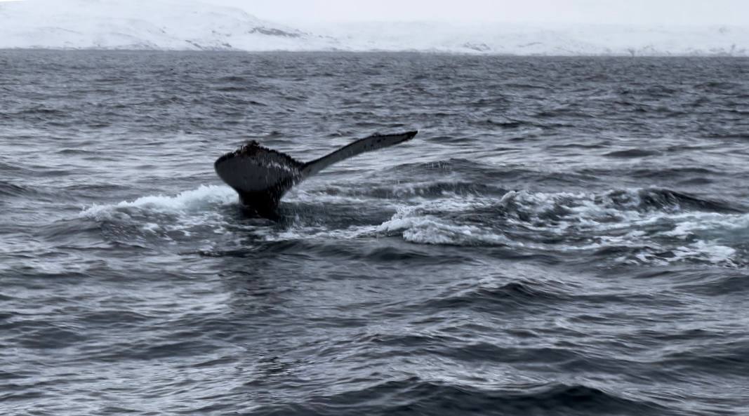 Майский Кольский. На встречу приключениям (3/29)