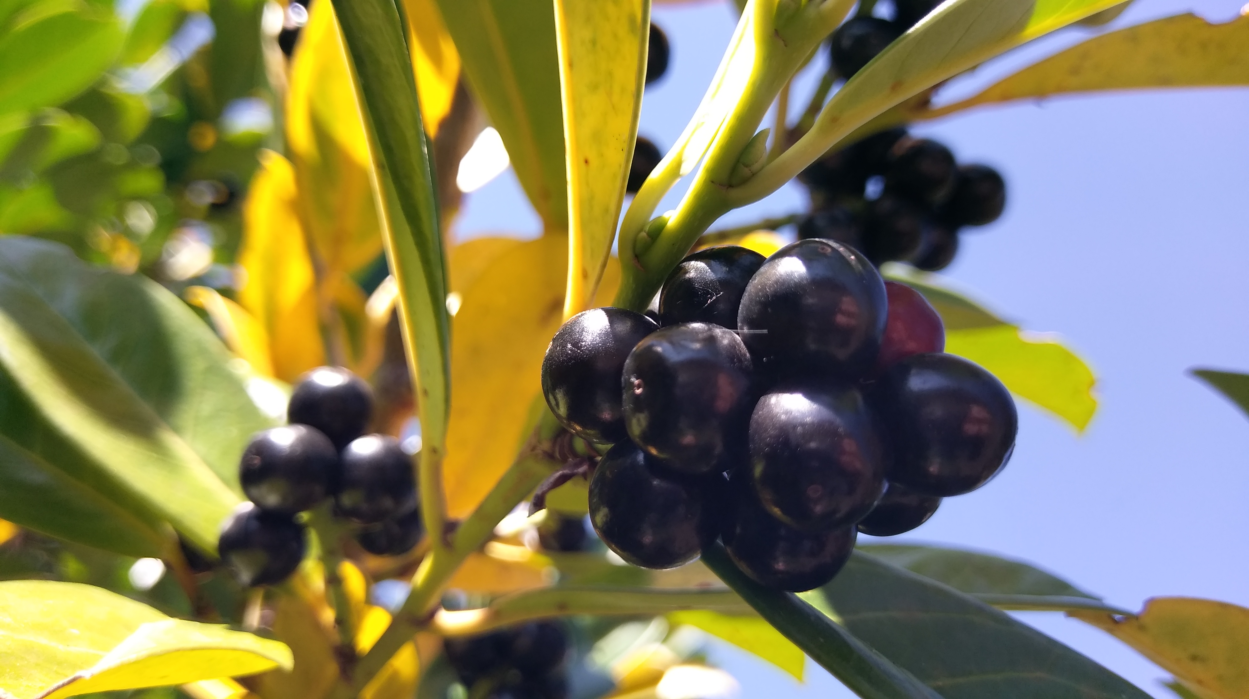 Духовное путешествие к шаману в горы (9/17)