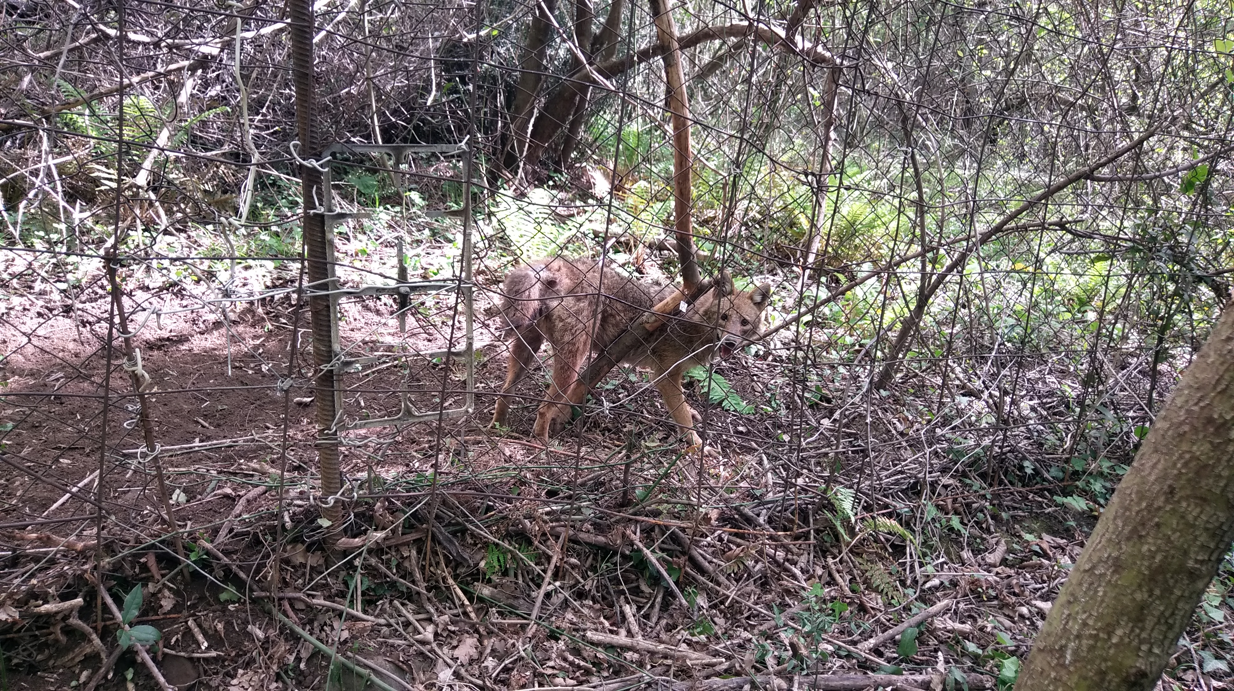 Духовное путешествие к шаману в горы (16/17)
