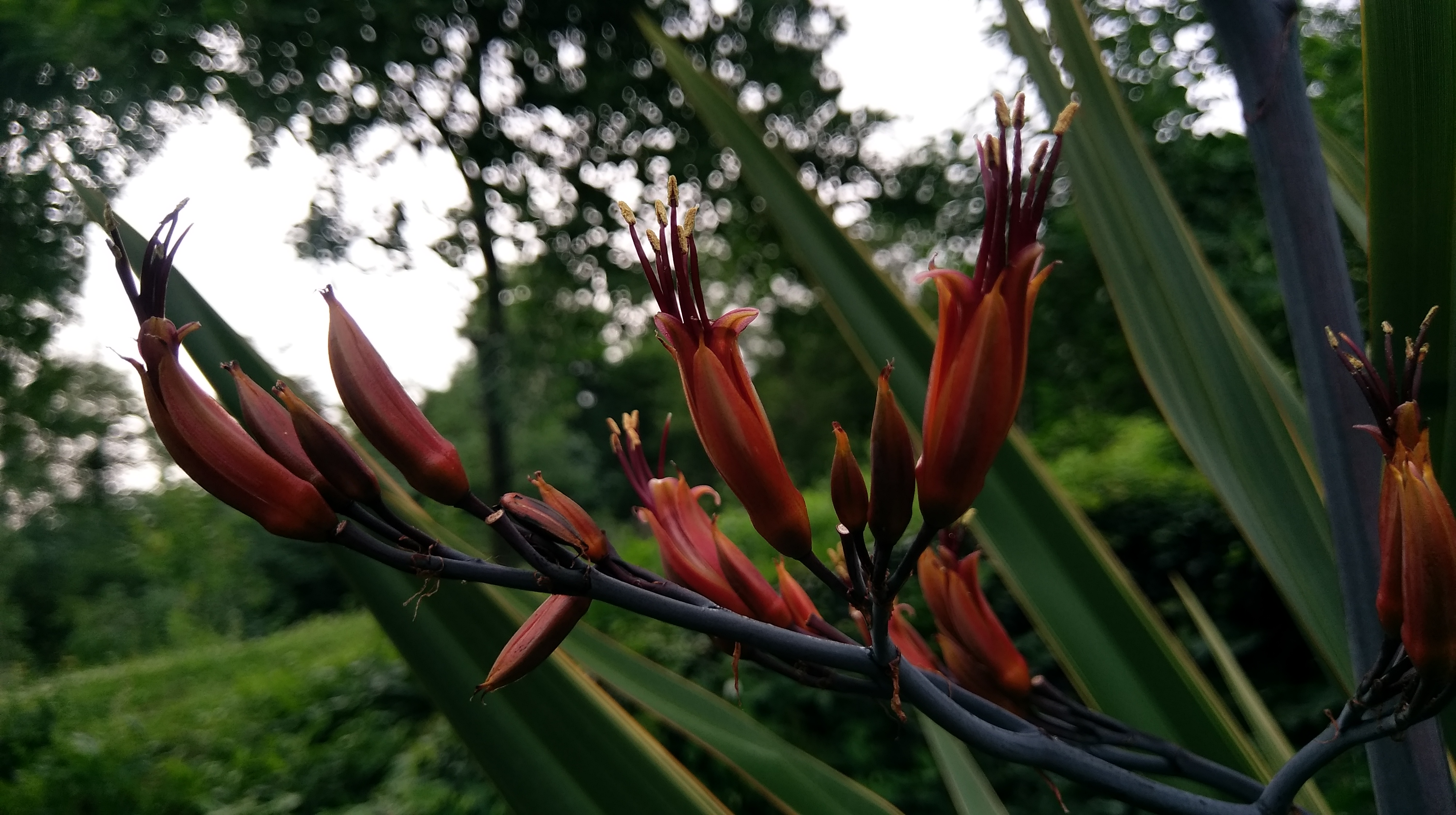 Духовное путешествие к шаману в горы (13/17)