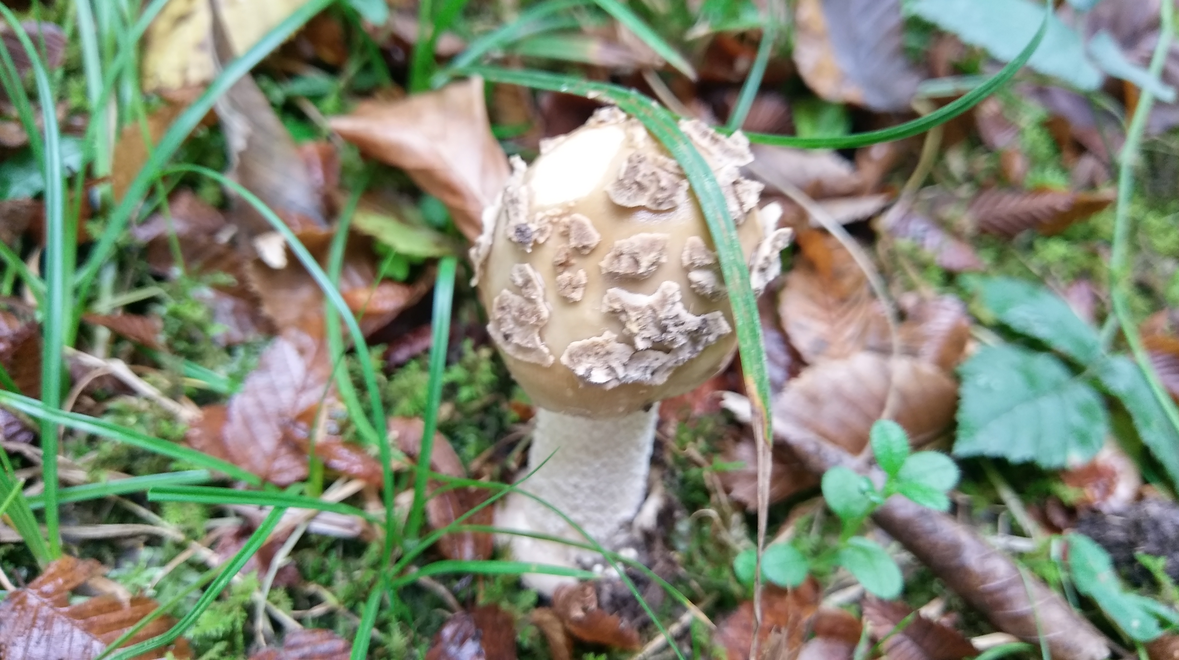 Духовное путешествие к шаману в горы (8/17)