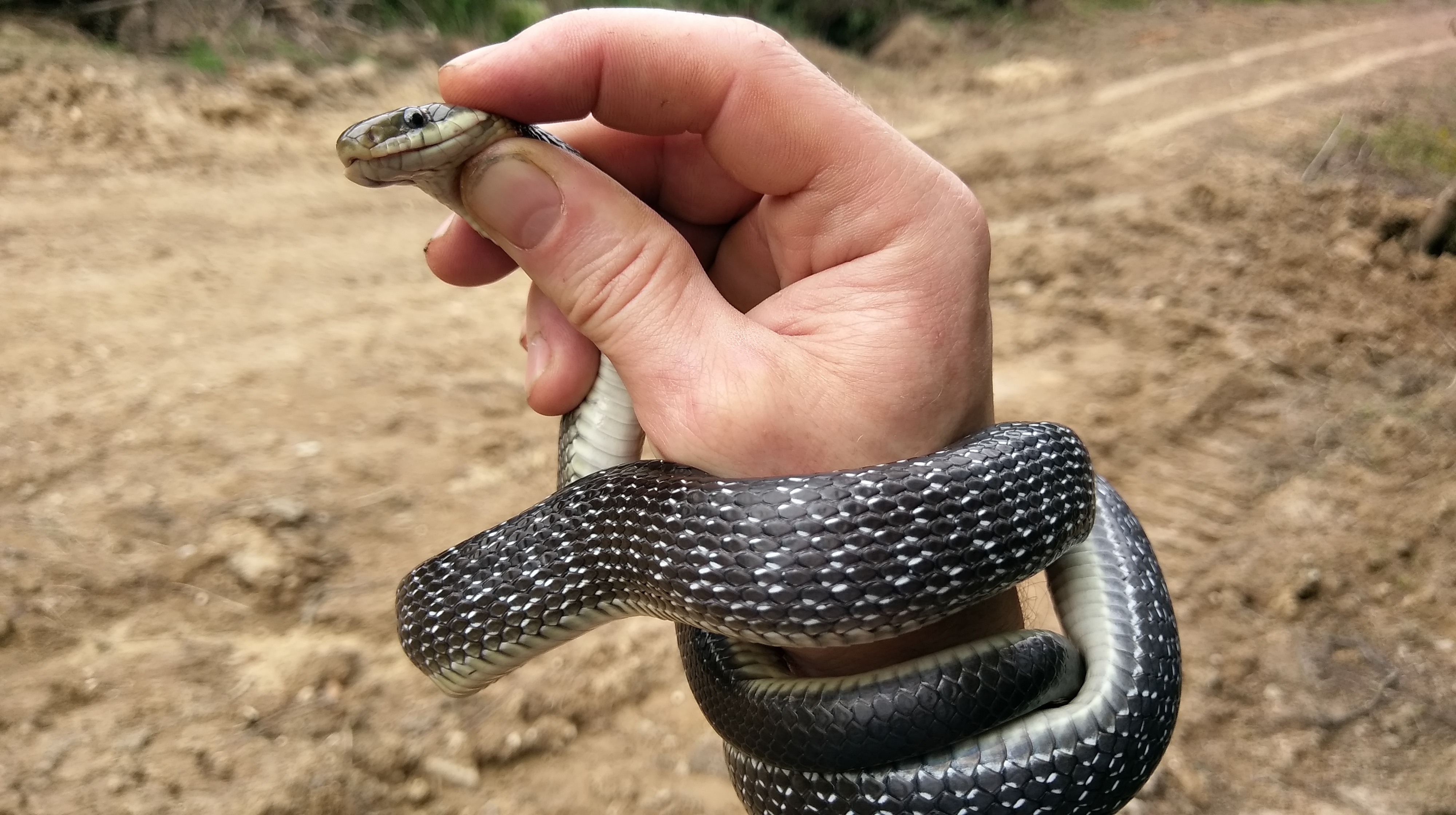 Духовное путешествие к шаману в горы (4/17)