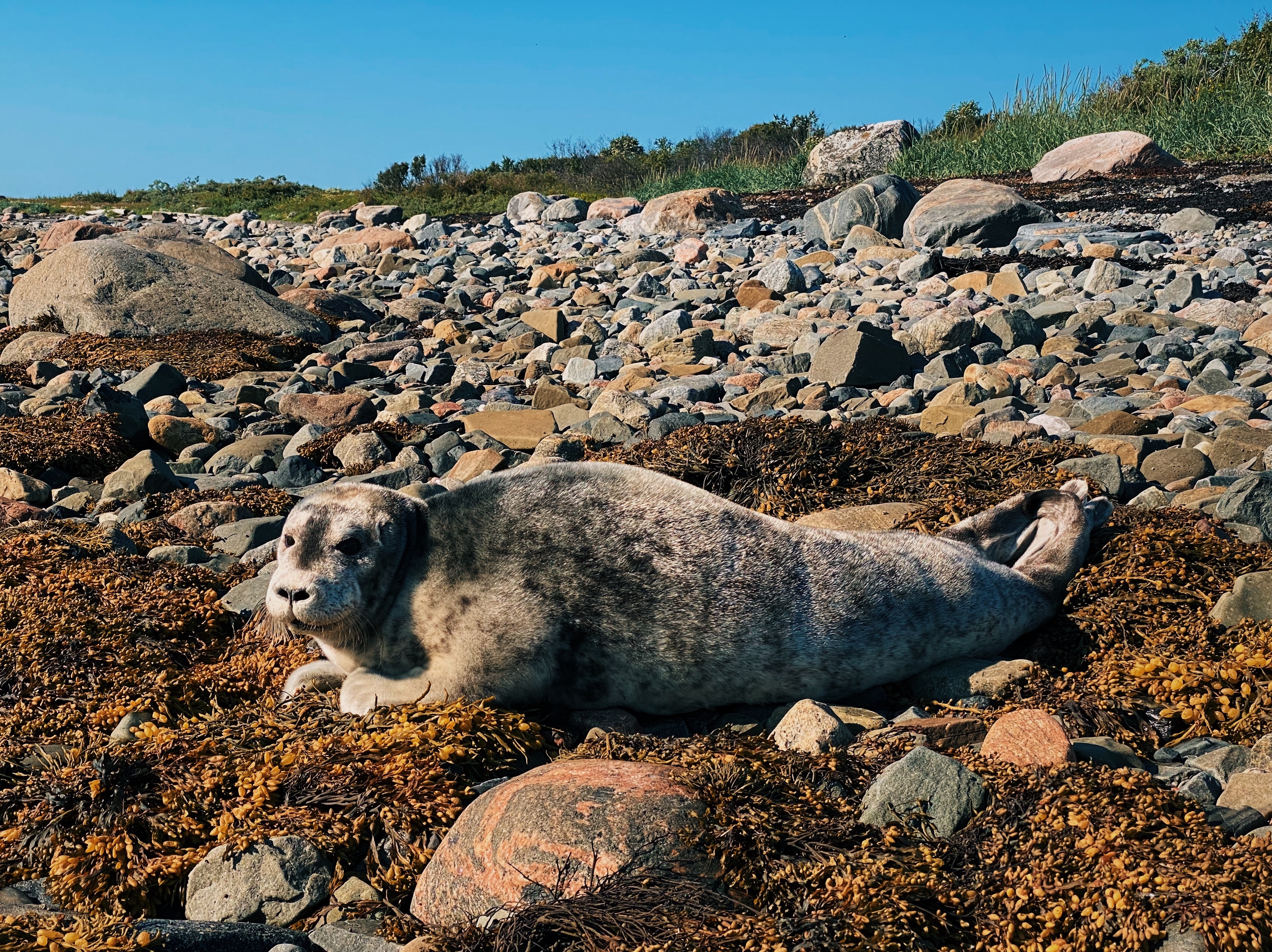 Джип тур   Земля предков на полуостров Рыбачий (13/17)
