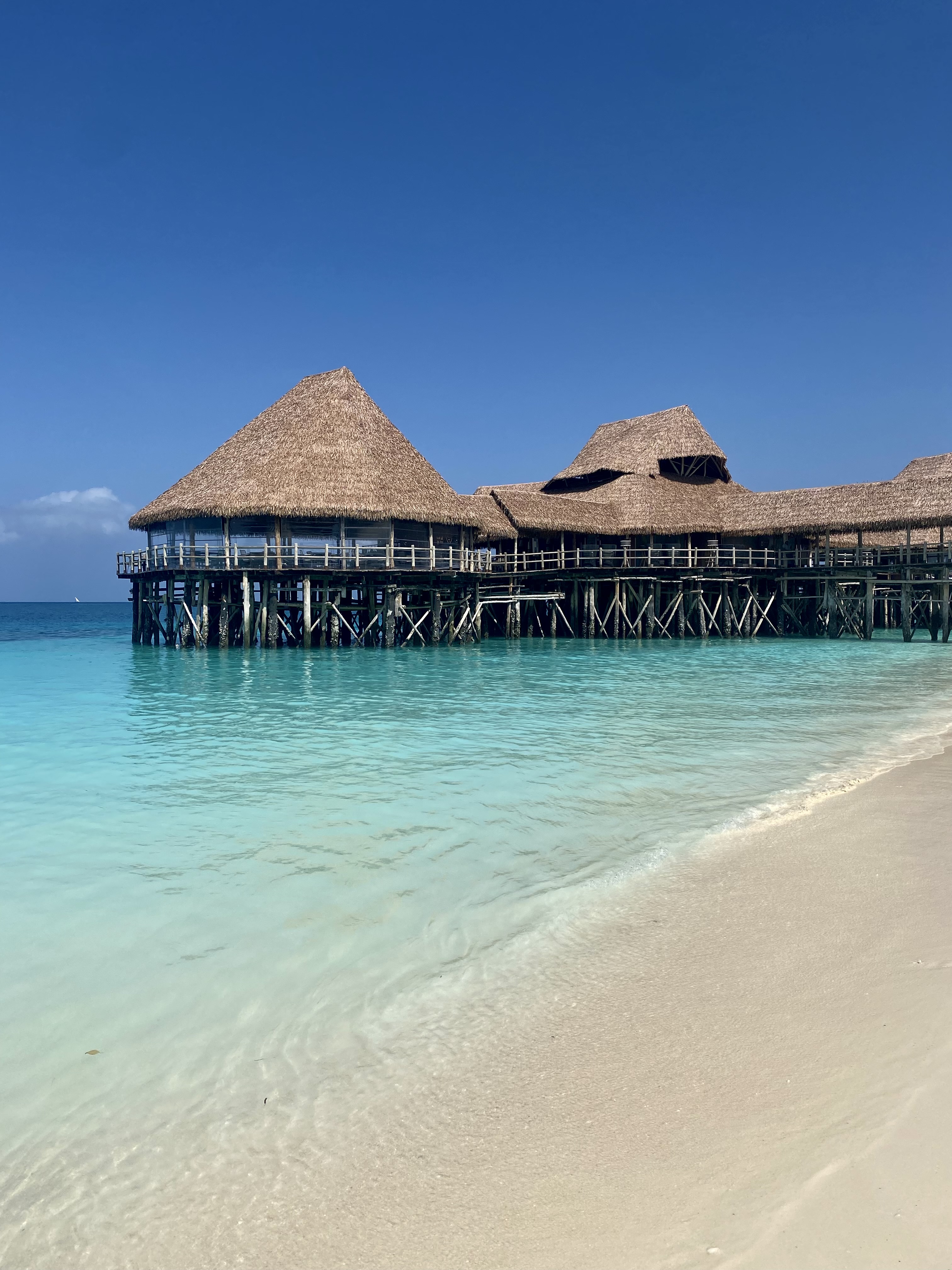 Другая Африка - Кения-Танзания-Занзибар (35/46)