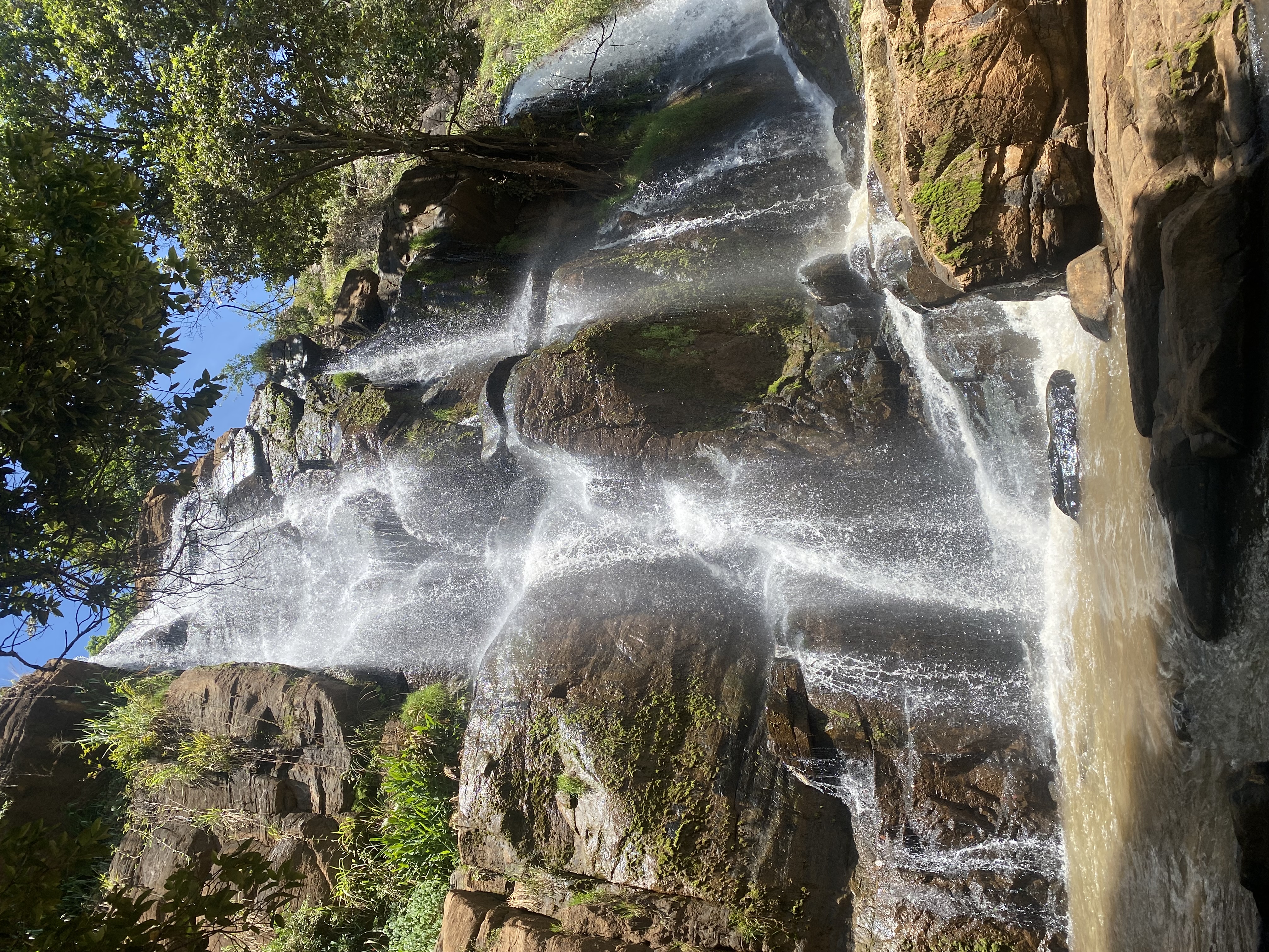 Другая Африка - Кения-Танзания-Занзибар (21/46)