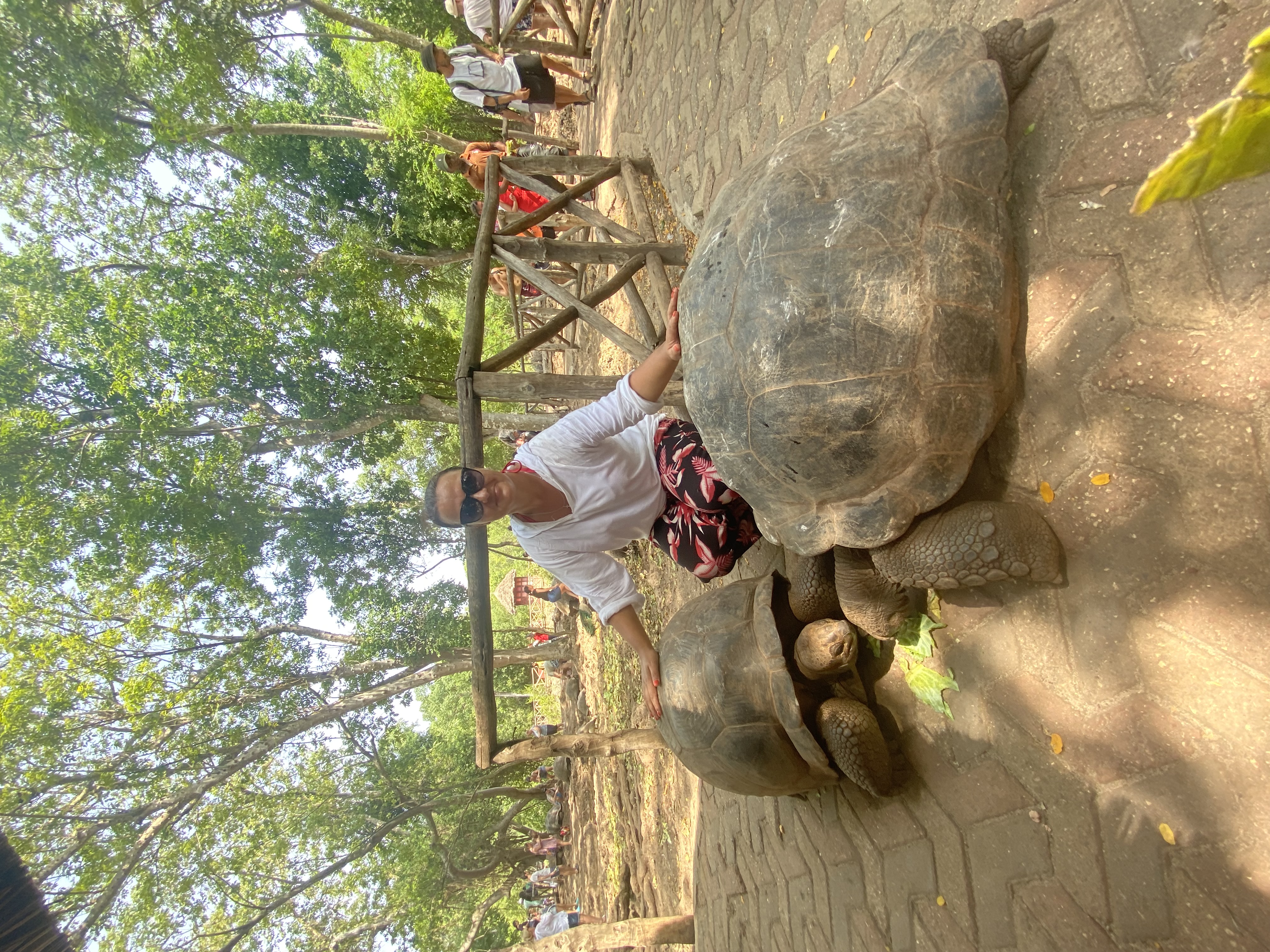 Другая Африка - Кения-Танзания-Занзибар (29/46)