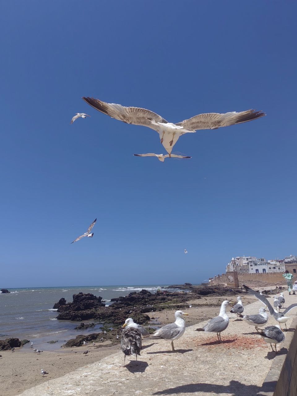 Сказочное Марокко (20/58)