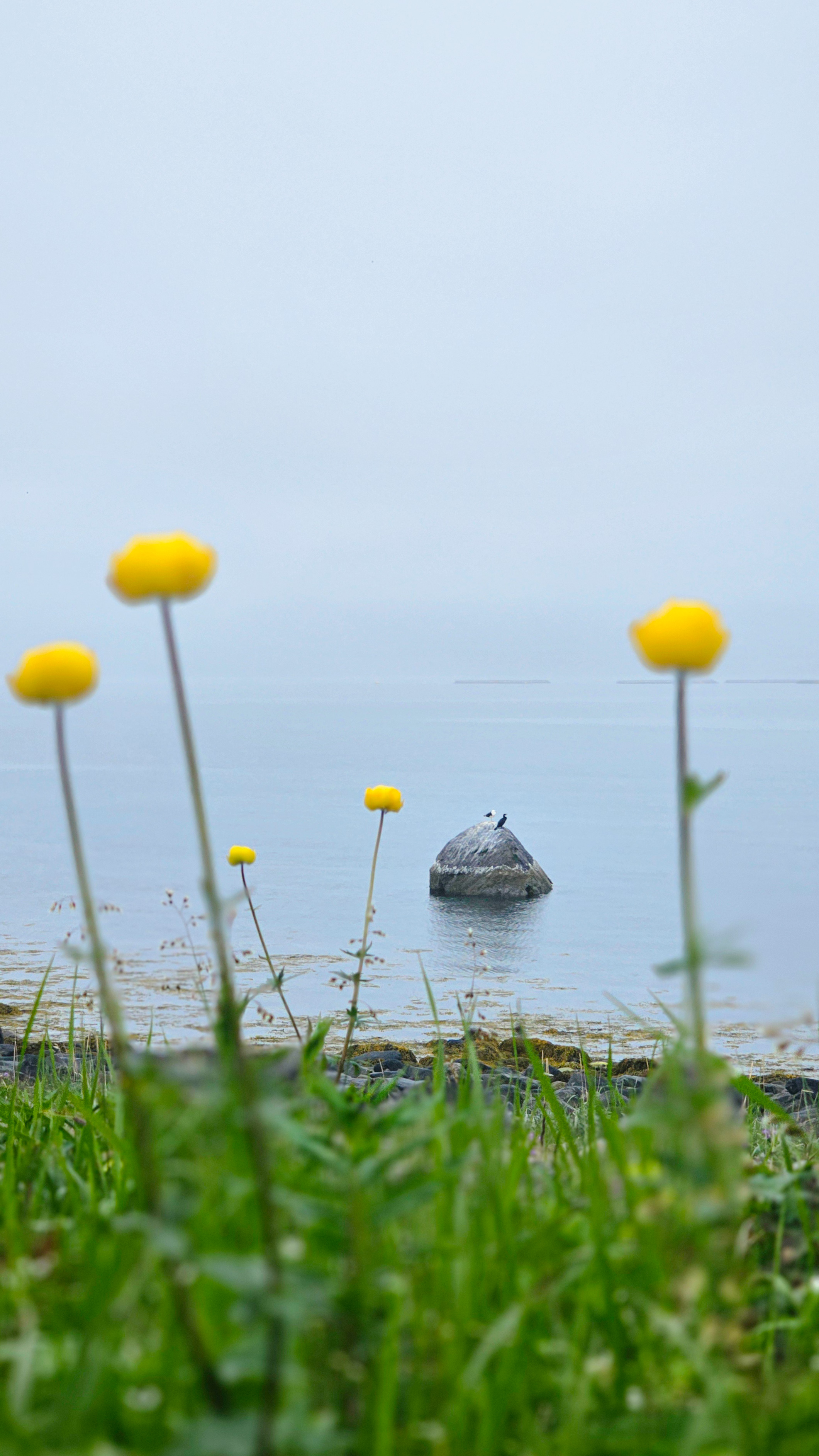 Полуостров Рыбачий. Красота севера без рюкзаков и длинных переходов. (31/56)