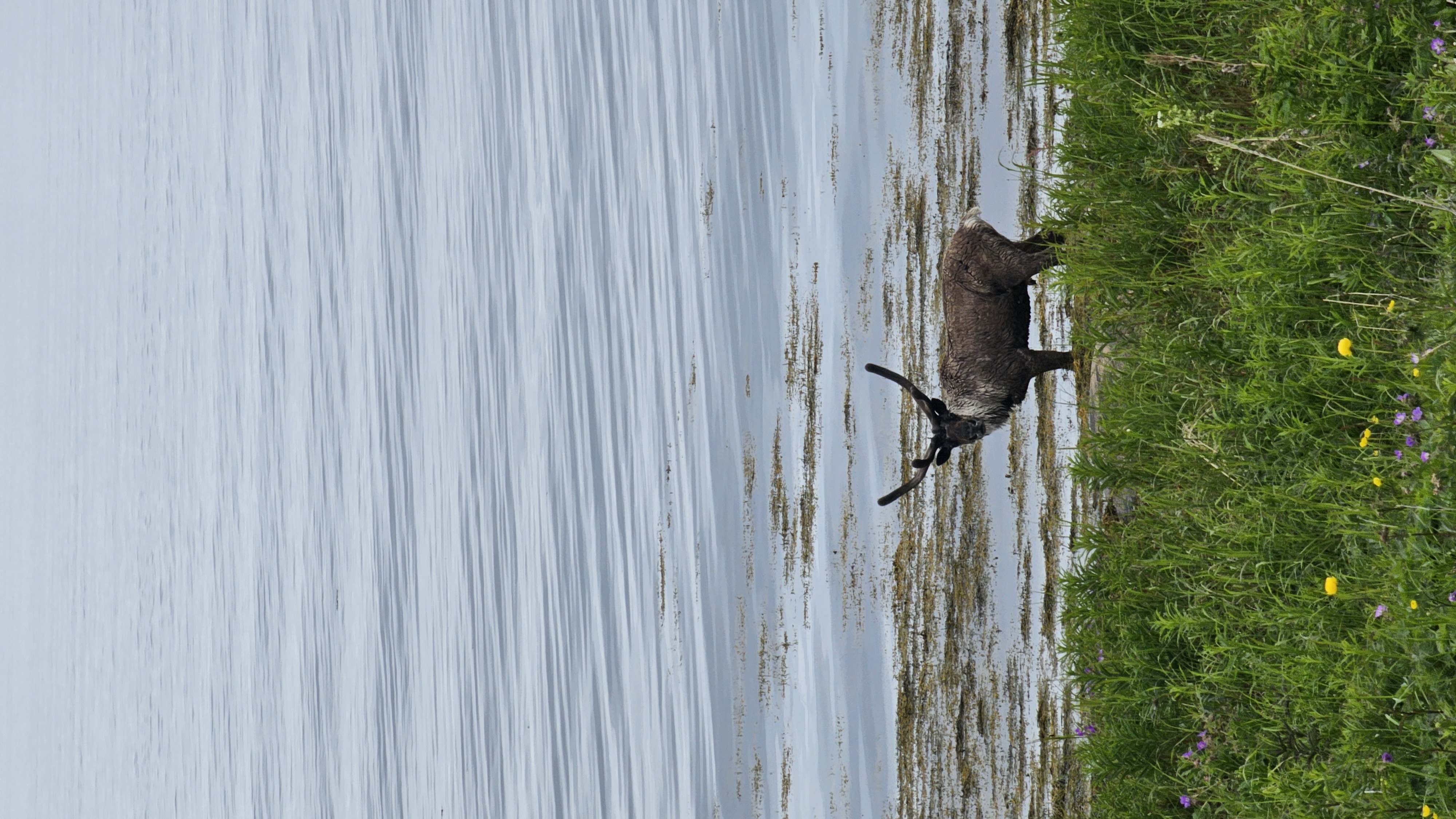 Полуостров Рыбачий. Красота севера без рюкзаков и длинных переходов. (33/56)